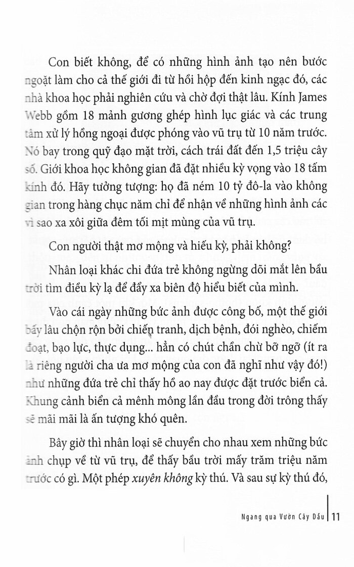 ngang qua vườn cây dầu