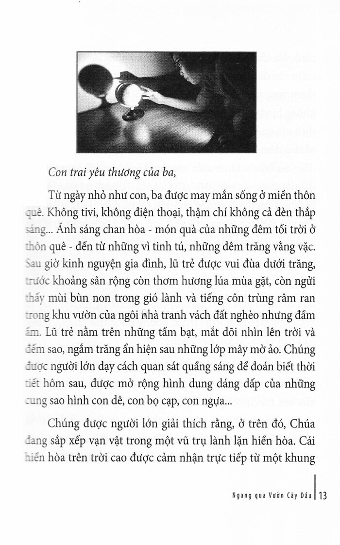 ngang qua vườn cây dầu