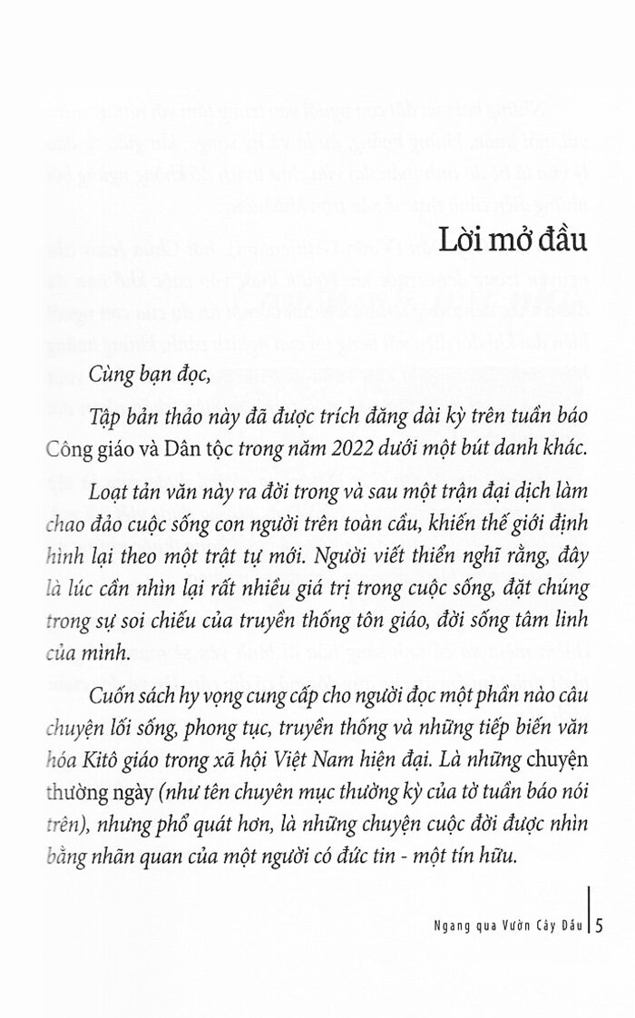 ngang qua vườn cây dầu