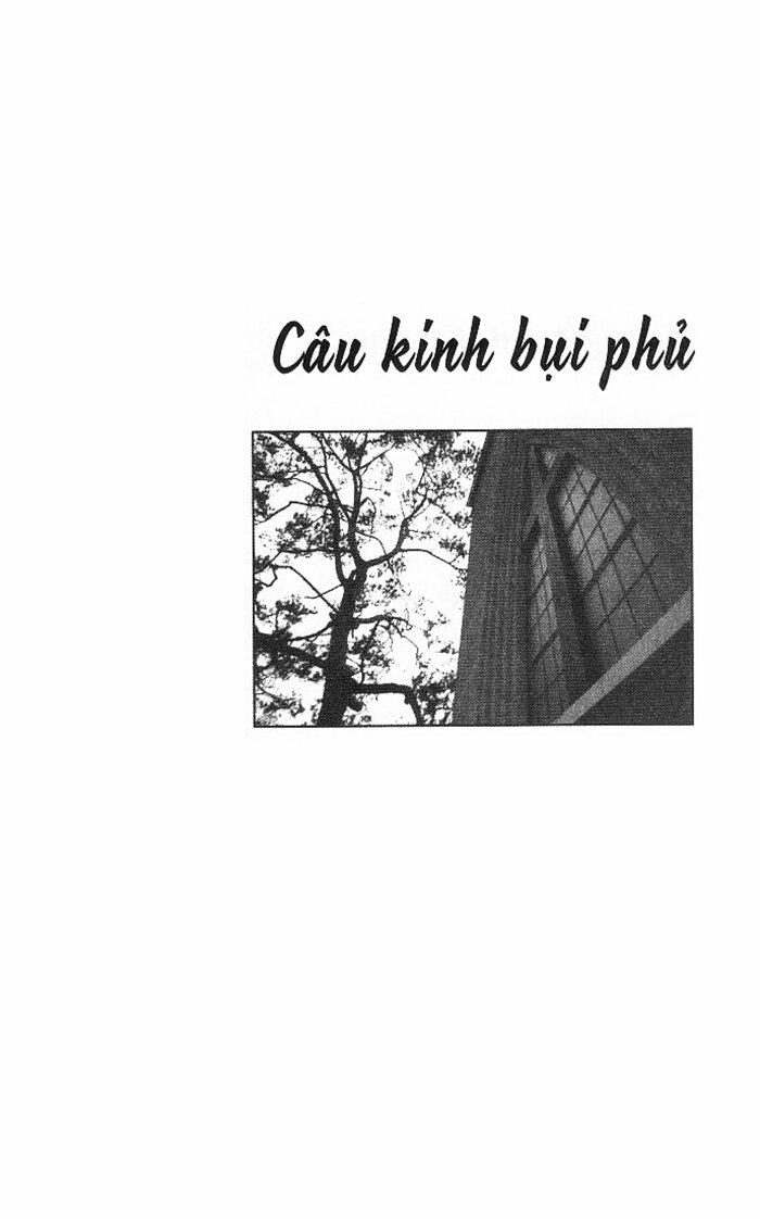 ngang qua vườn cây dầu