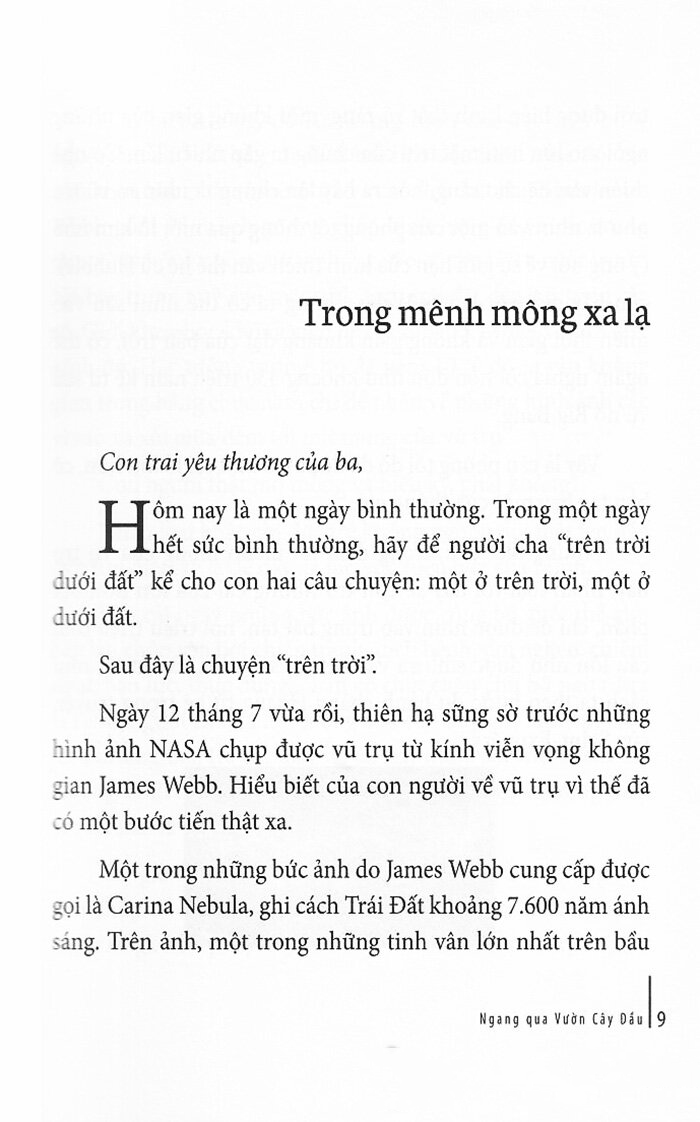 ngang qua vườn cây dầu