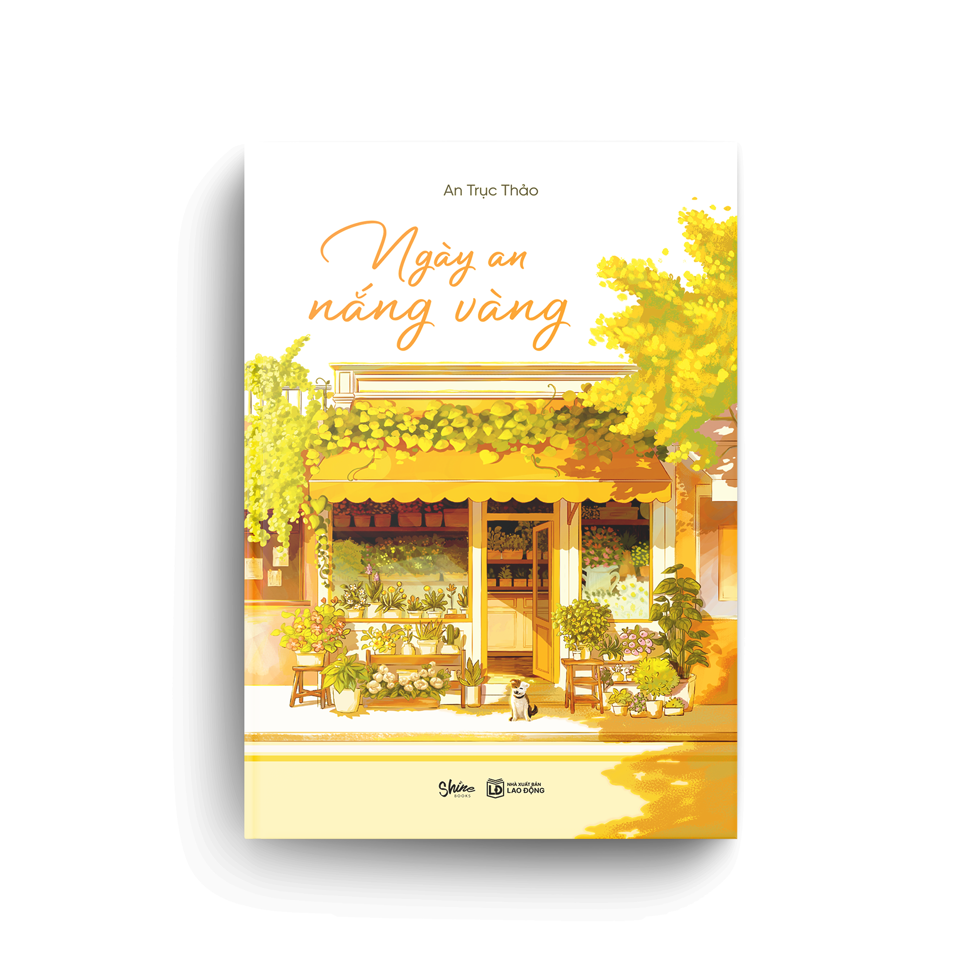 ngày an nắng vàng
