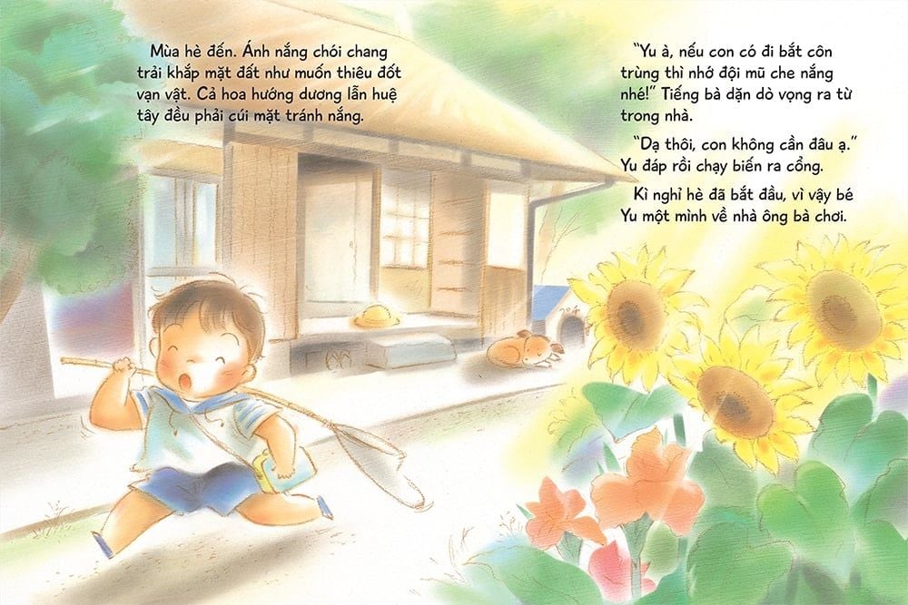 ngày hè chói nắng