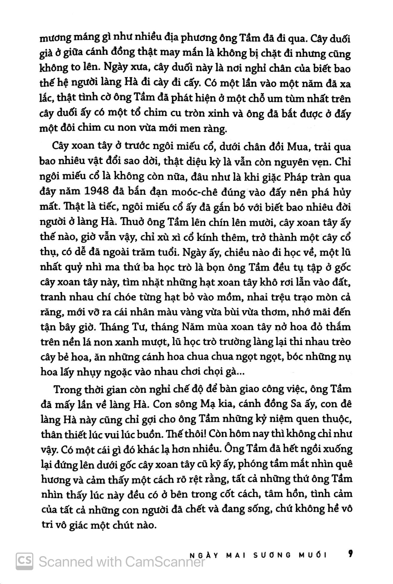 ngày mai sương muối