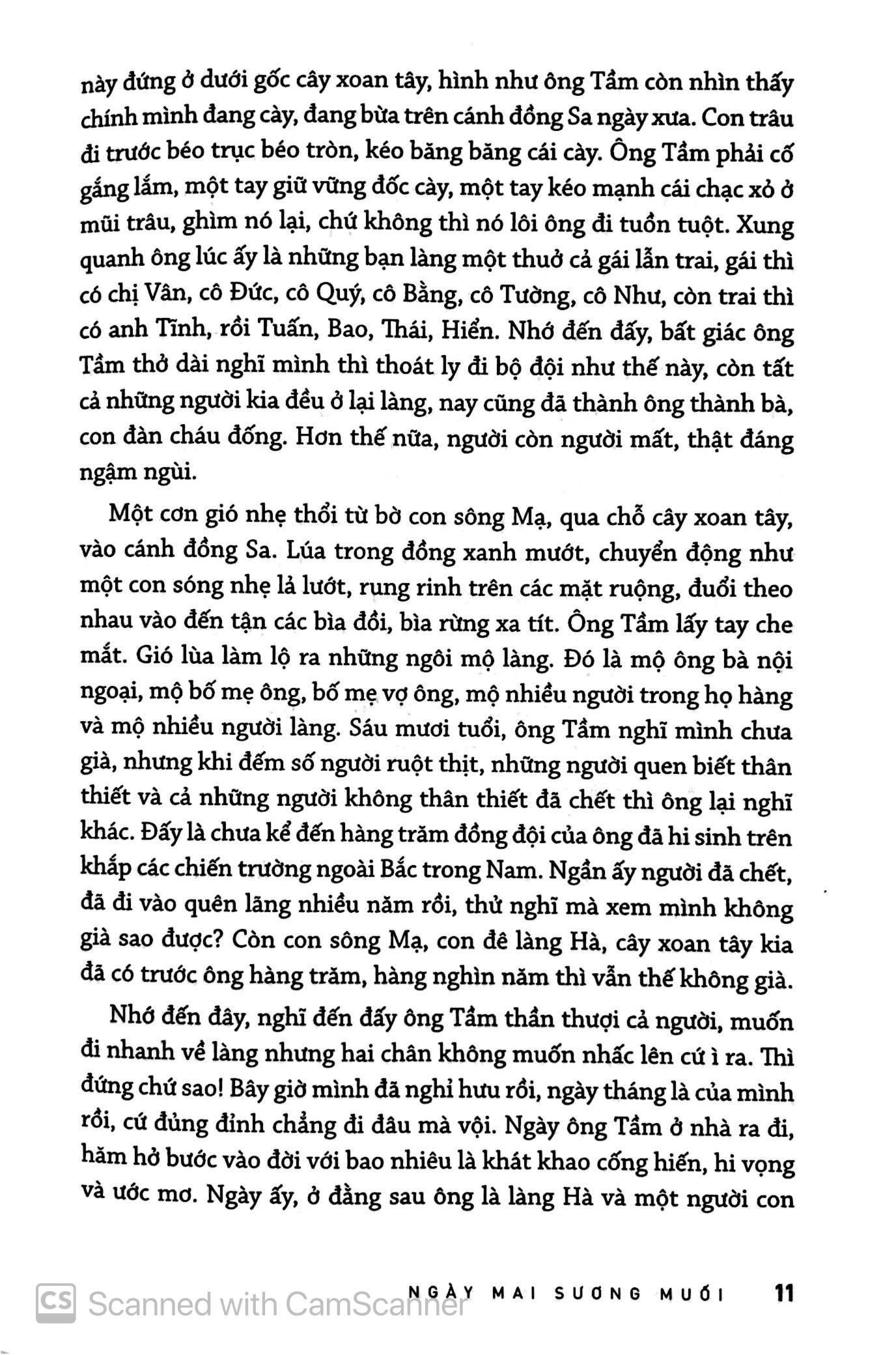 ngày mai sương muối