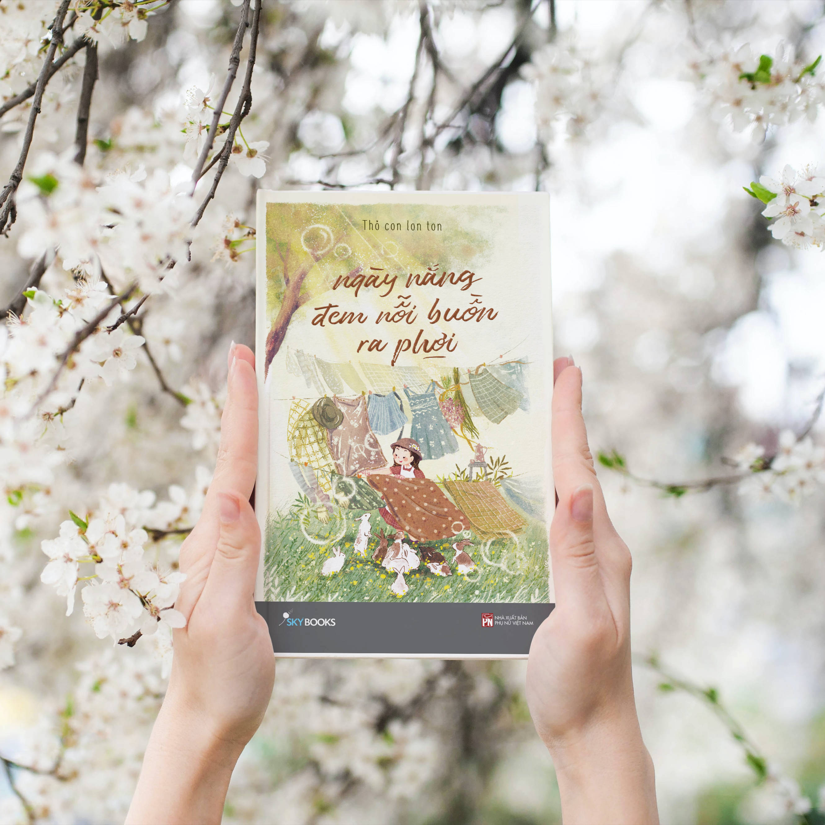 ngày nắng đem nỗi buồn ra phơi