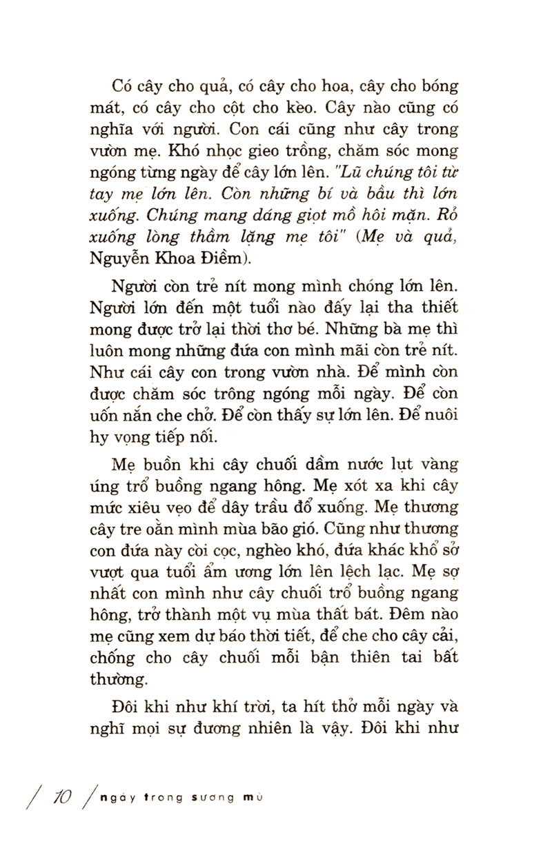 ngày trong sương mù