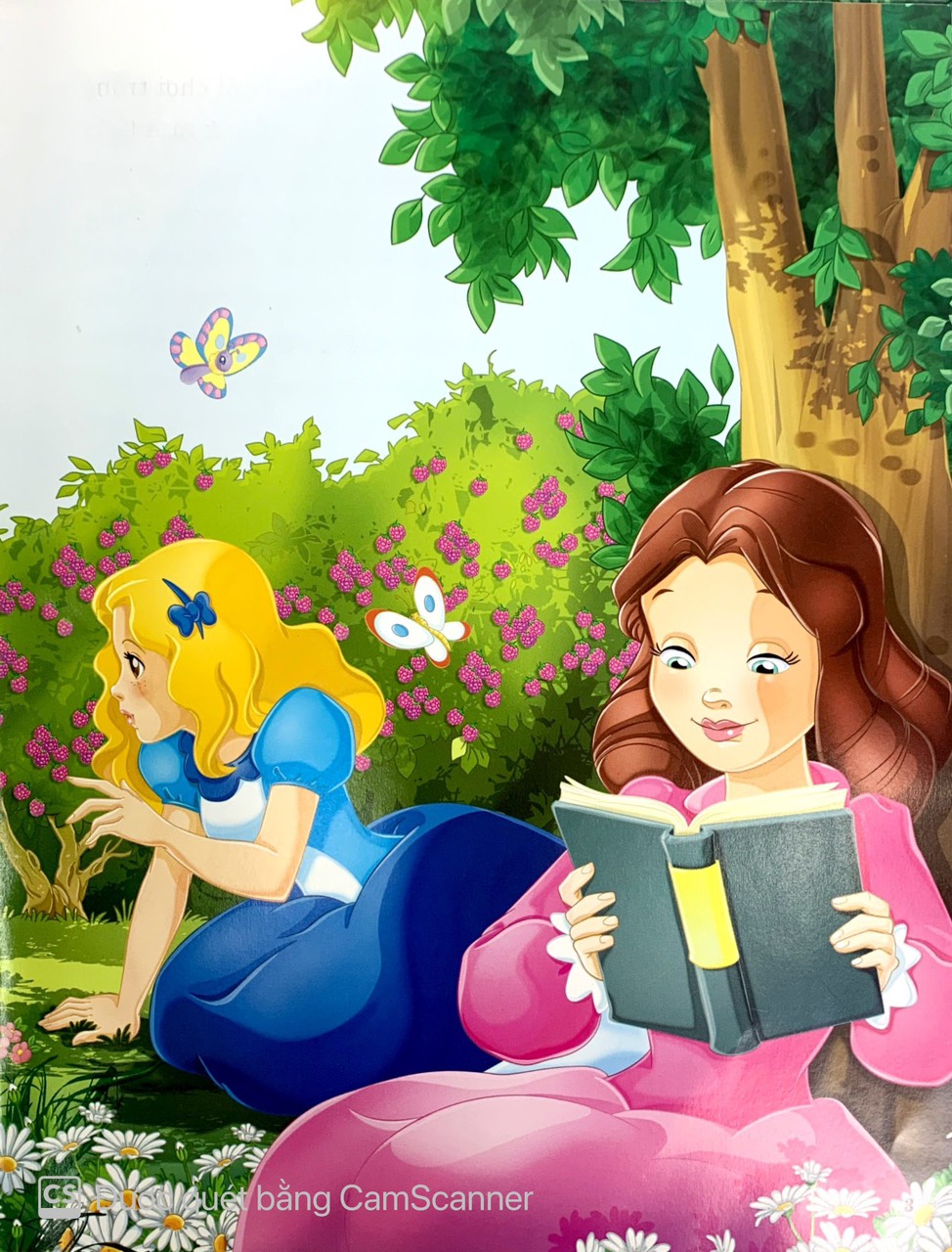 ngày xửa ngày xưa - alice lạc vào xứ sở thần tiên