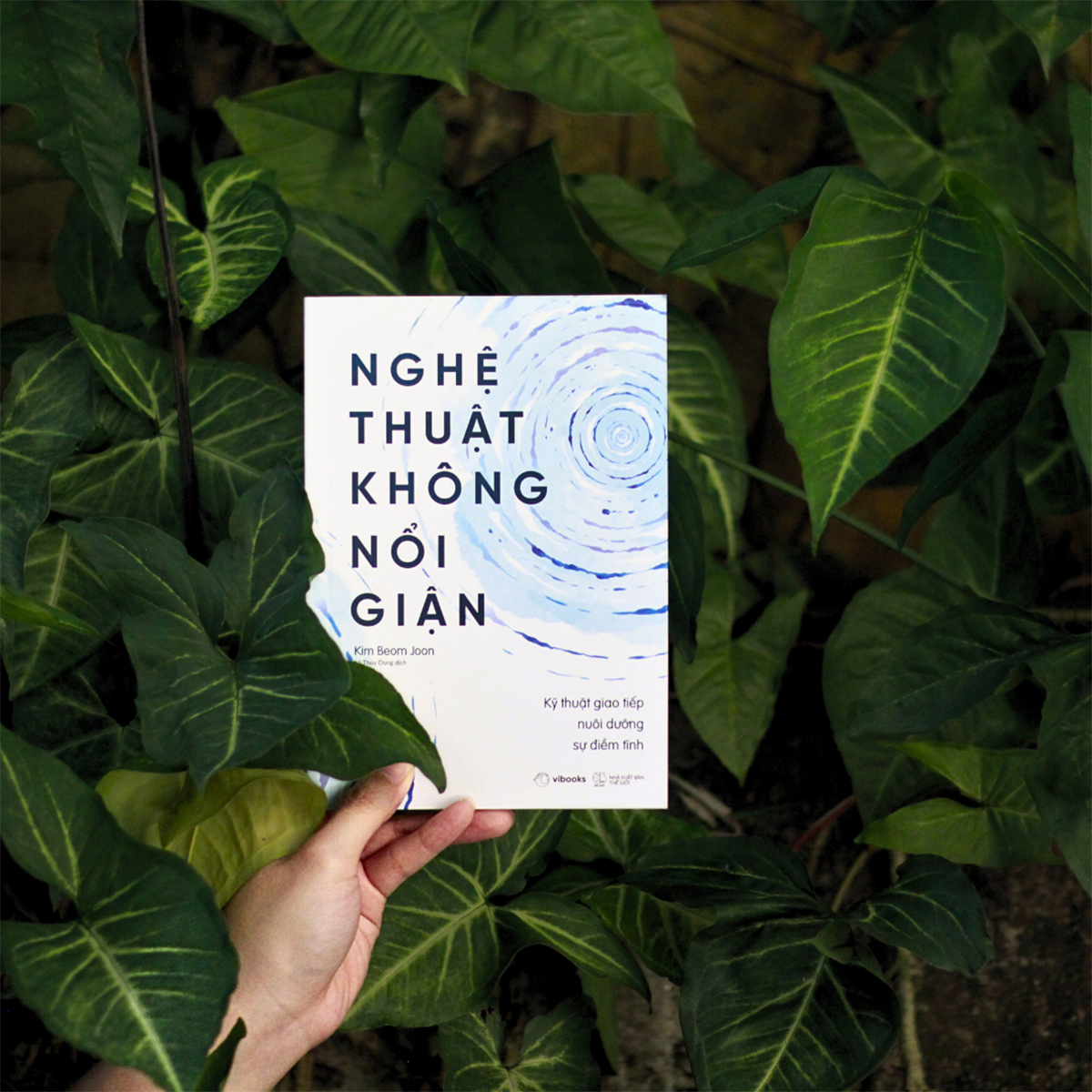 nghệ thuật không nổi giận