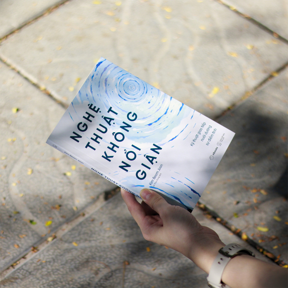 nghệ thuật không nổi giận