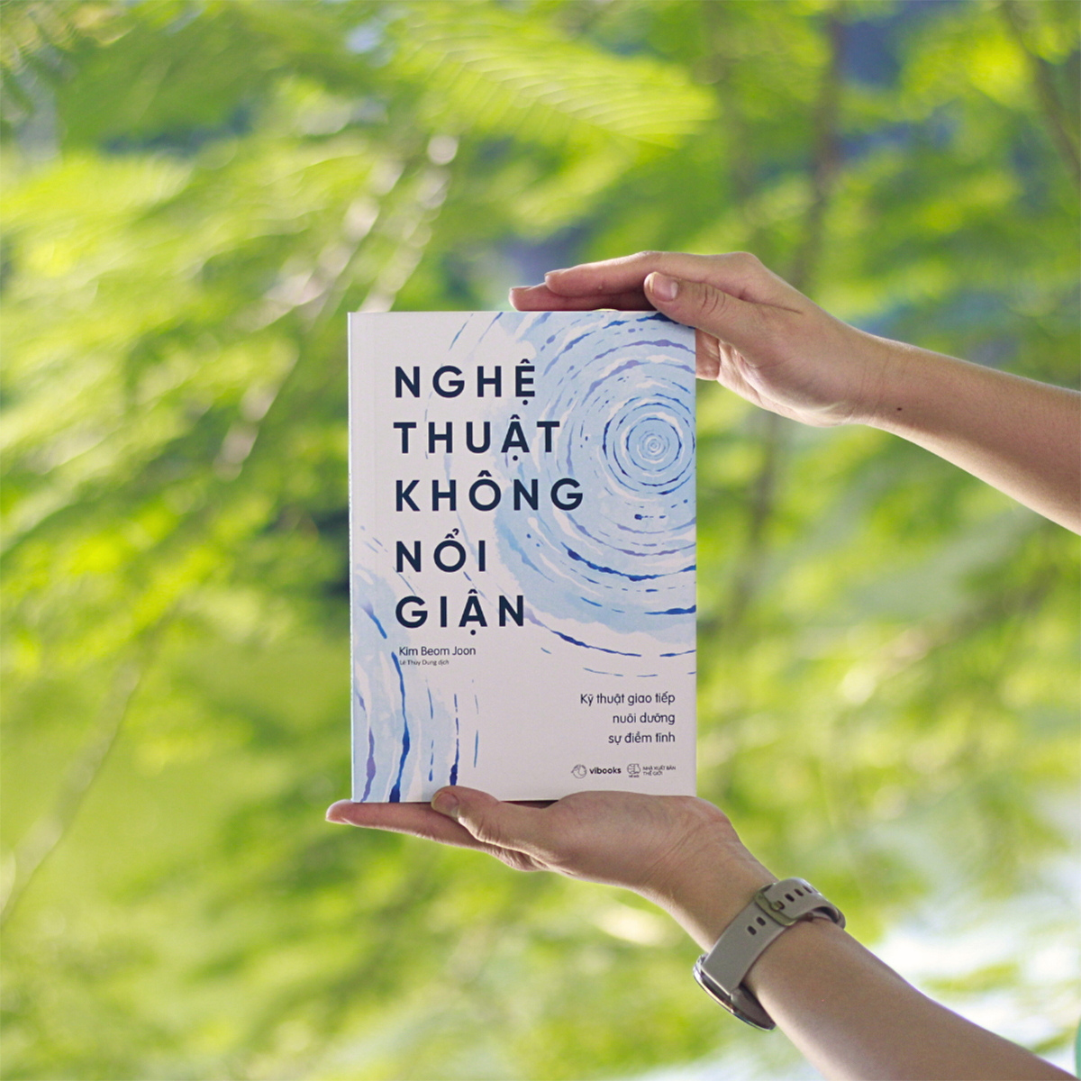 nghệ thuật không nổi giận