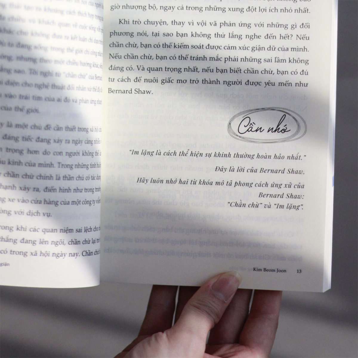 nghệ thuật không nổi giận