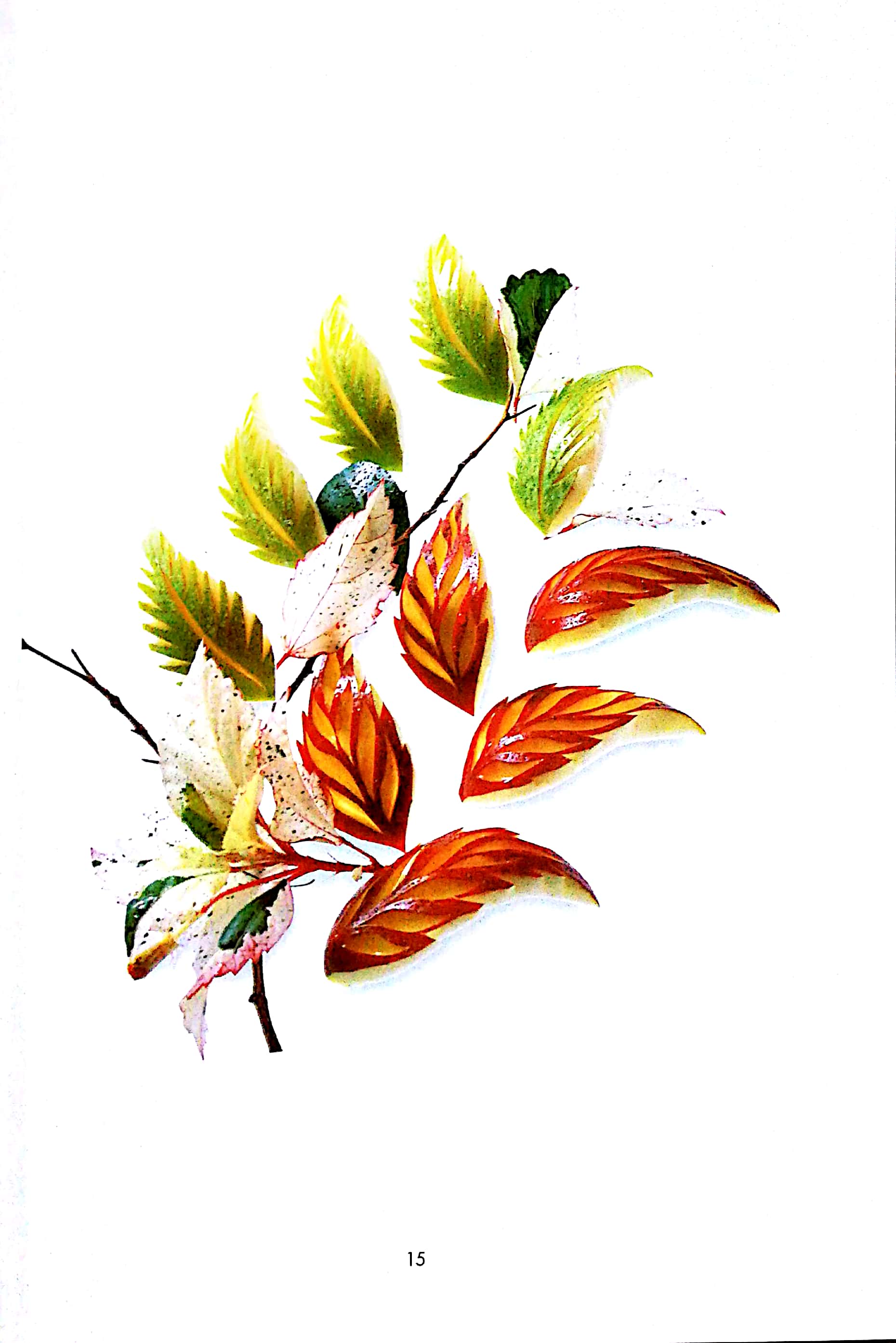 nghệ thuật trang trí & cắt tỉa trái cây