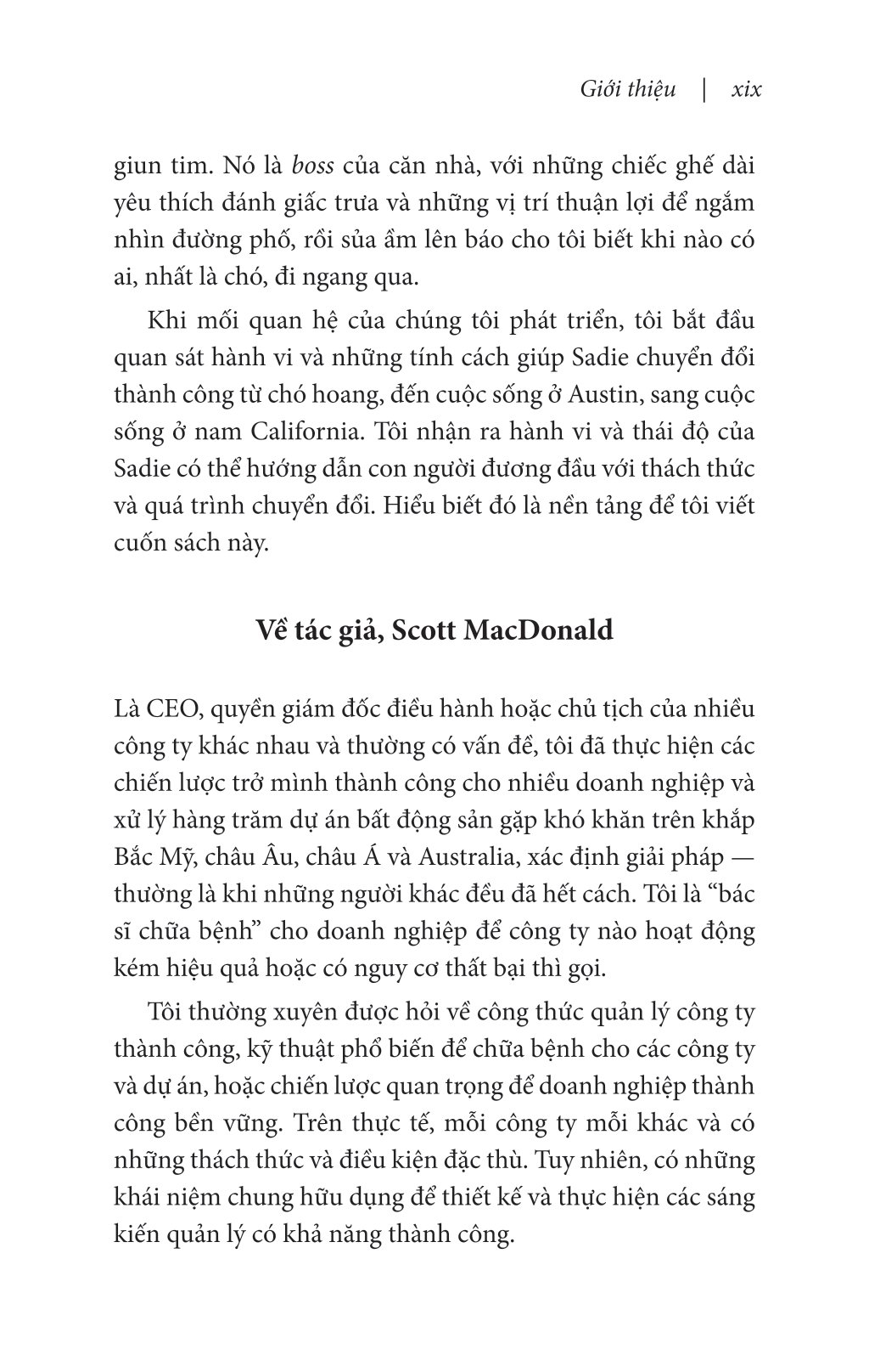 nghĩ như một chú chó - loài chó dạy ta sống hạnh phúc và thành công