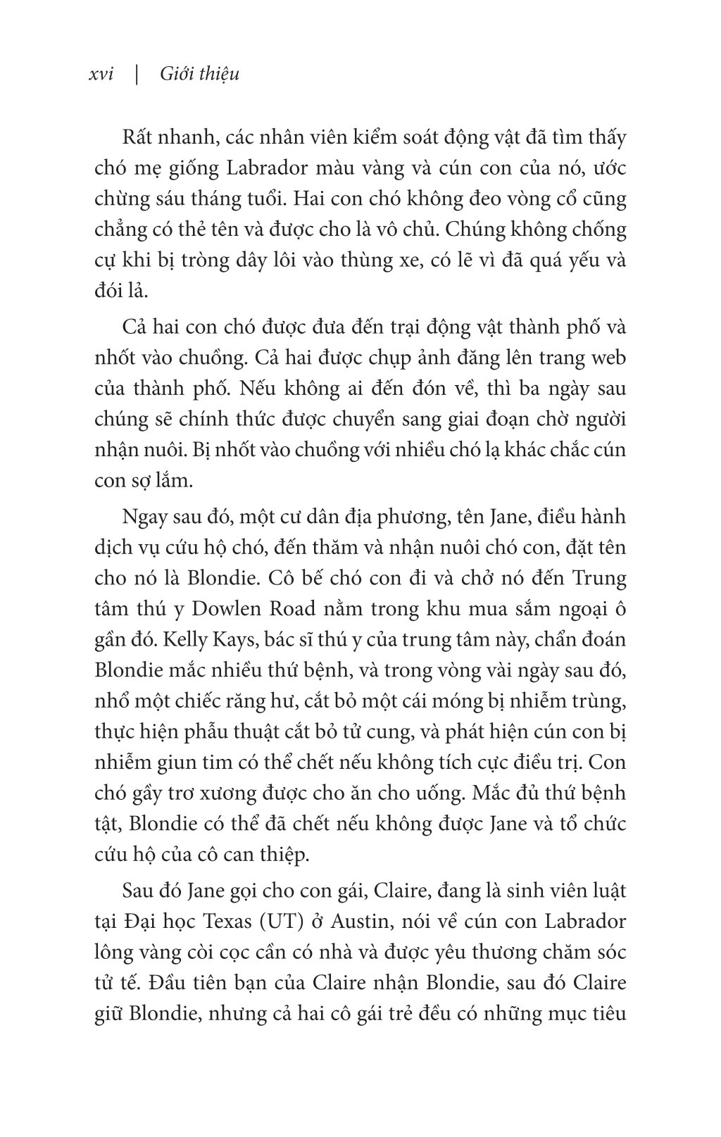 nghĩ như một chú chó - loài chó dạy ta sống hạnh phúc và thành công