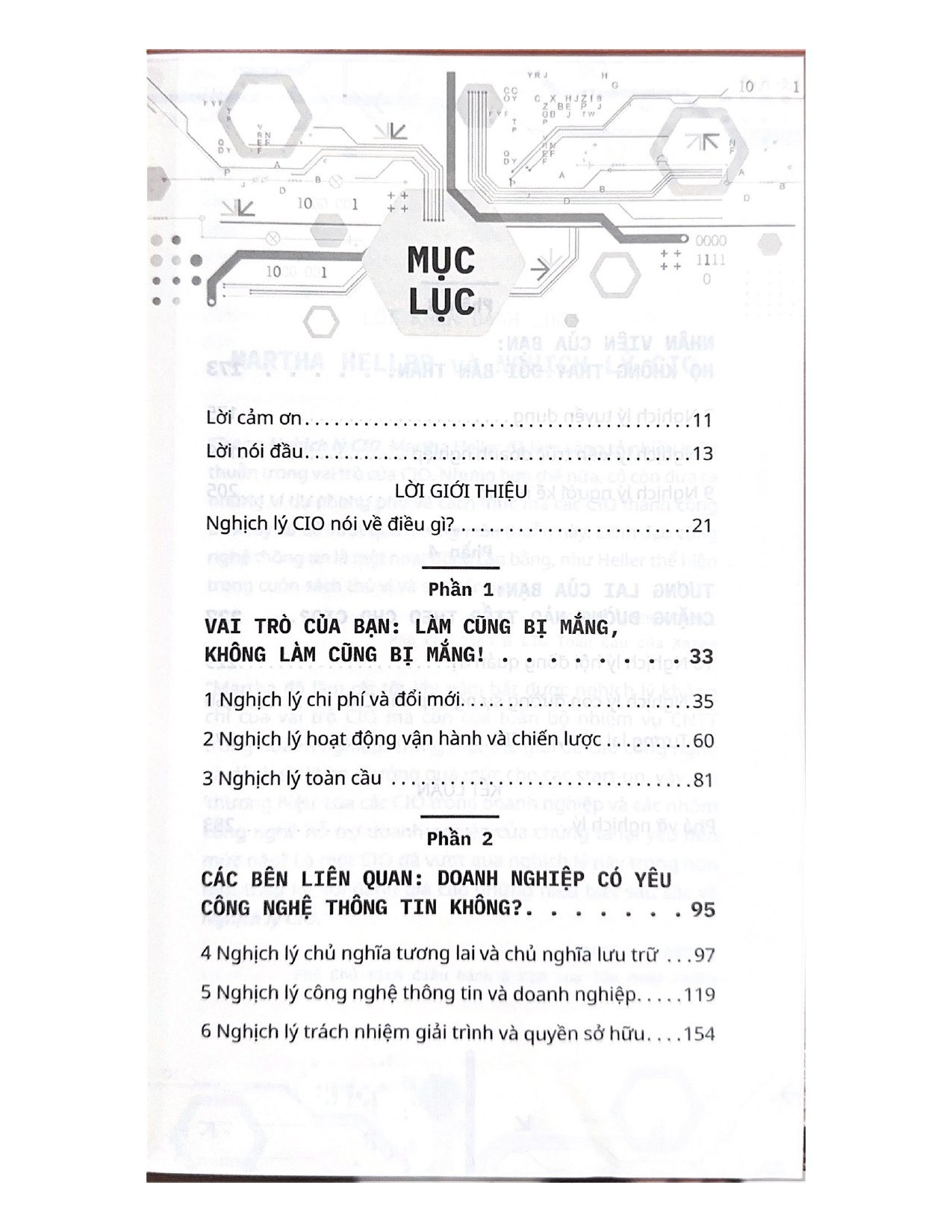 nghịch lý cio - hóa giải các mâu thuẫn của lãnh đạo it