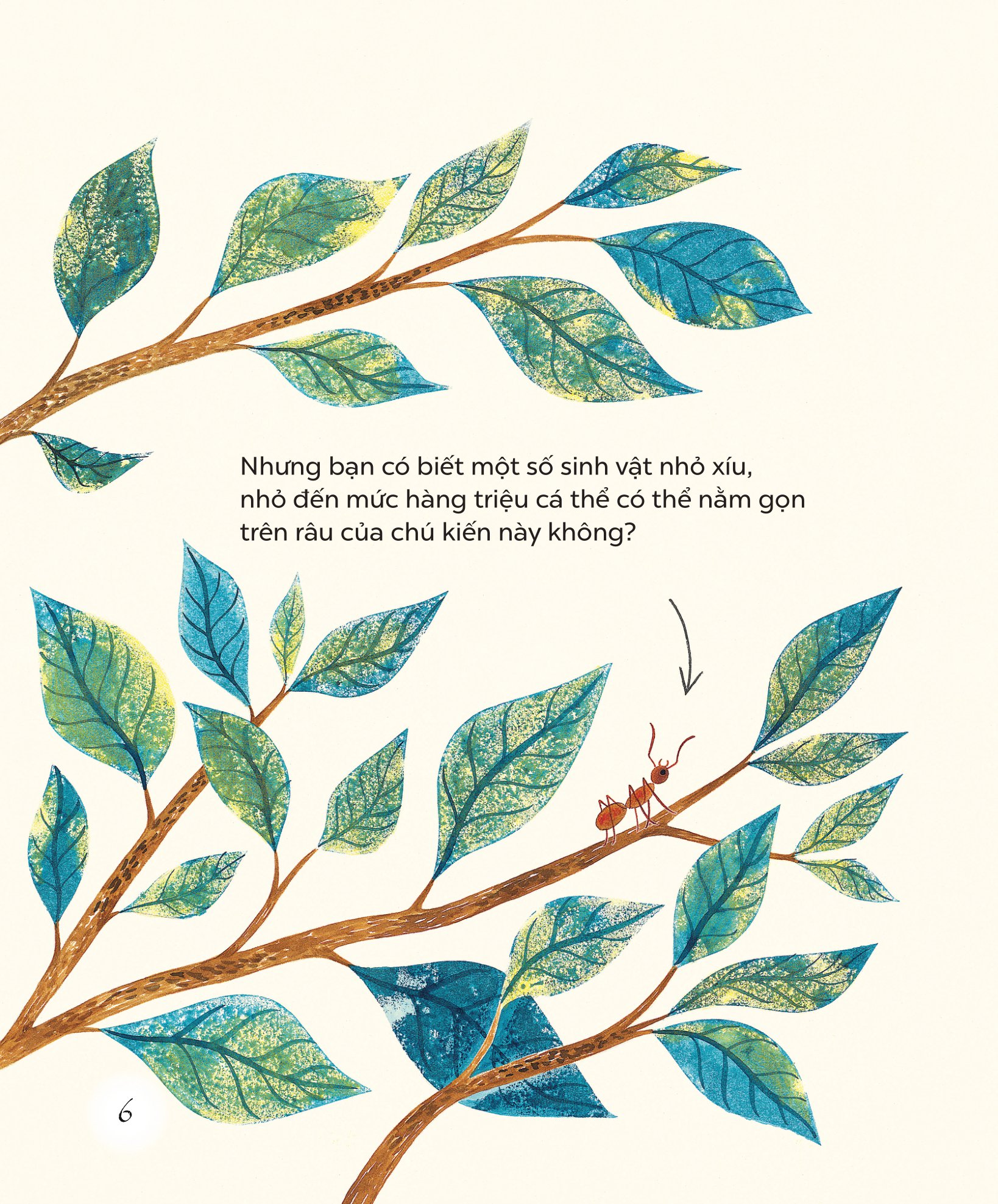 ngỡ ngàng khám phá - bé tí ti - thế giới vô hình của vi sinh vật