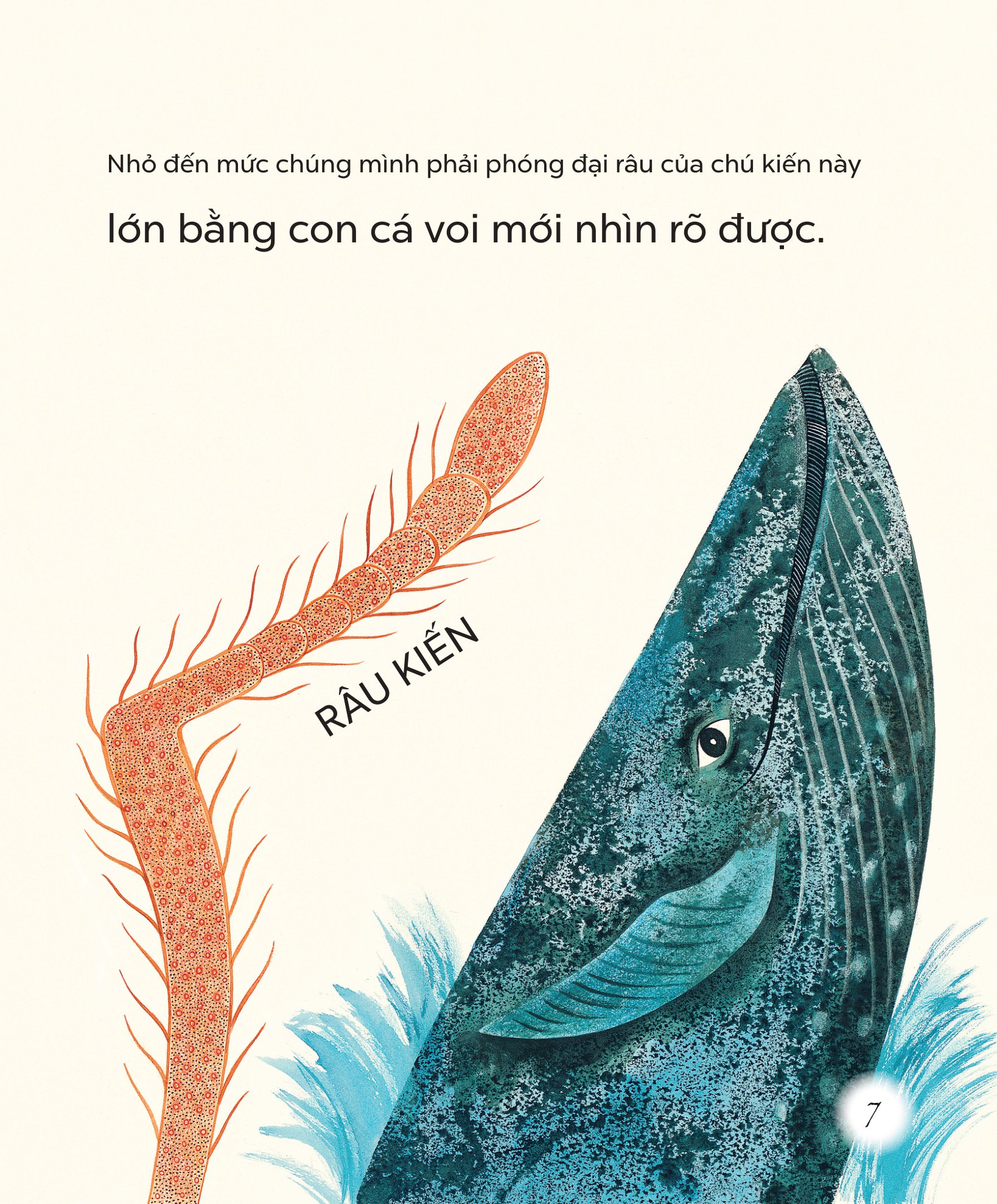 ngỡ ngàng khám phá - bé tí ti - thế giới vô hình của vi sinh vật