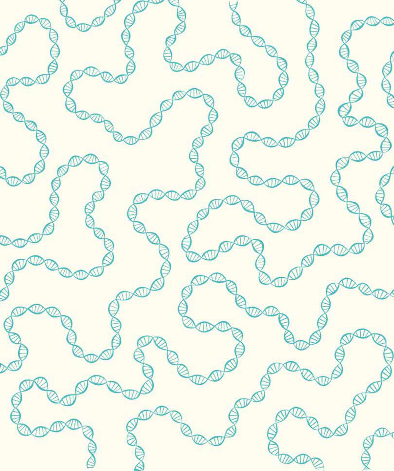 ngỡ ngàng khám phá - phát triển - bí mật của adn