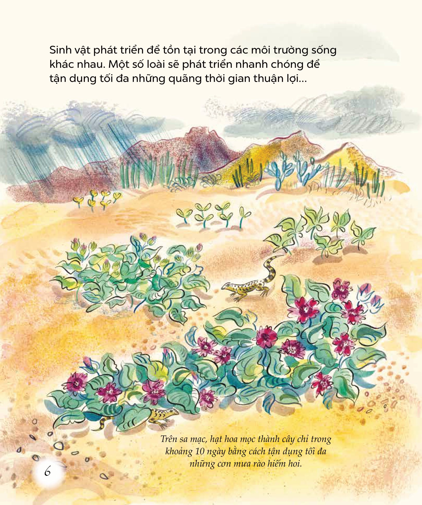 ngỡ ngàng khám phá - phát triển - bí mật của adn