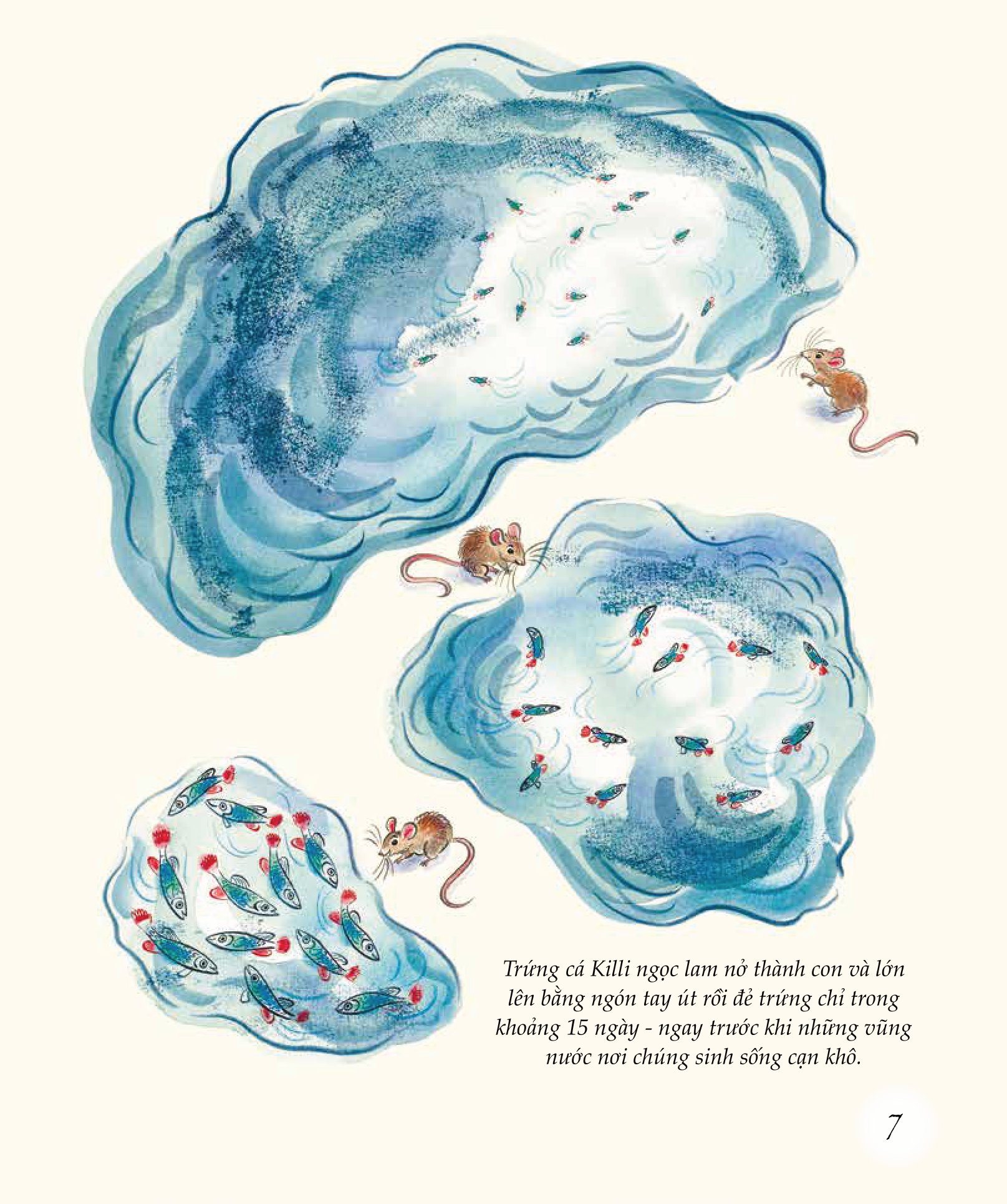 ngỡ ngàng khám phá - phát triển - bí mật của adn