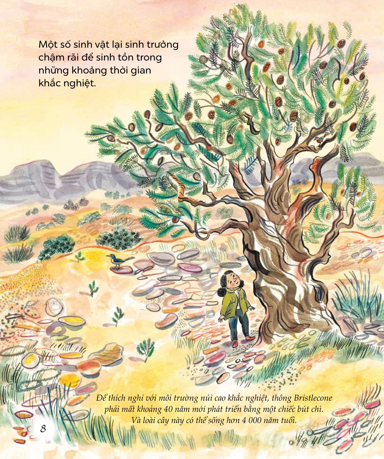 ngỡ ngàng khám phá - phát triển - bí mật của adn