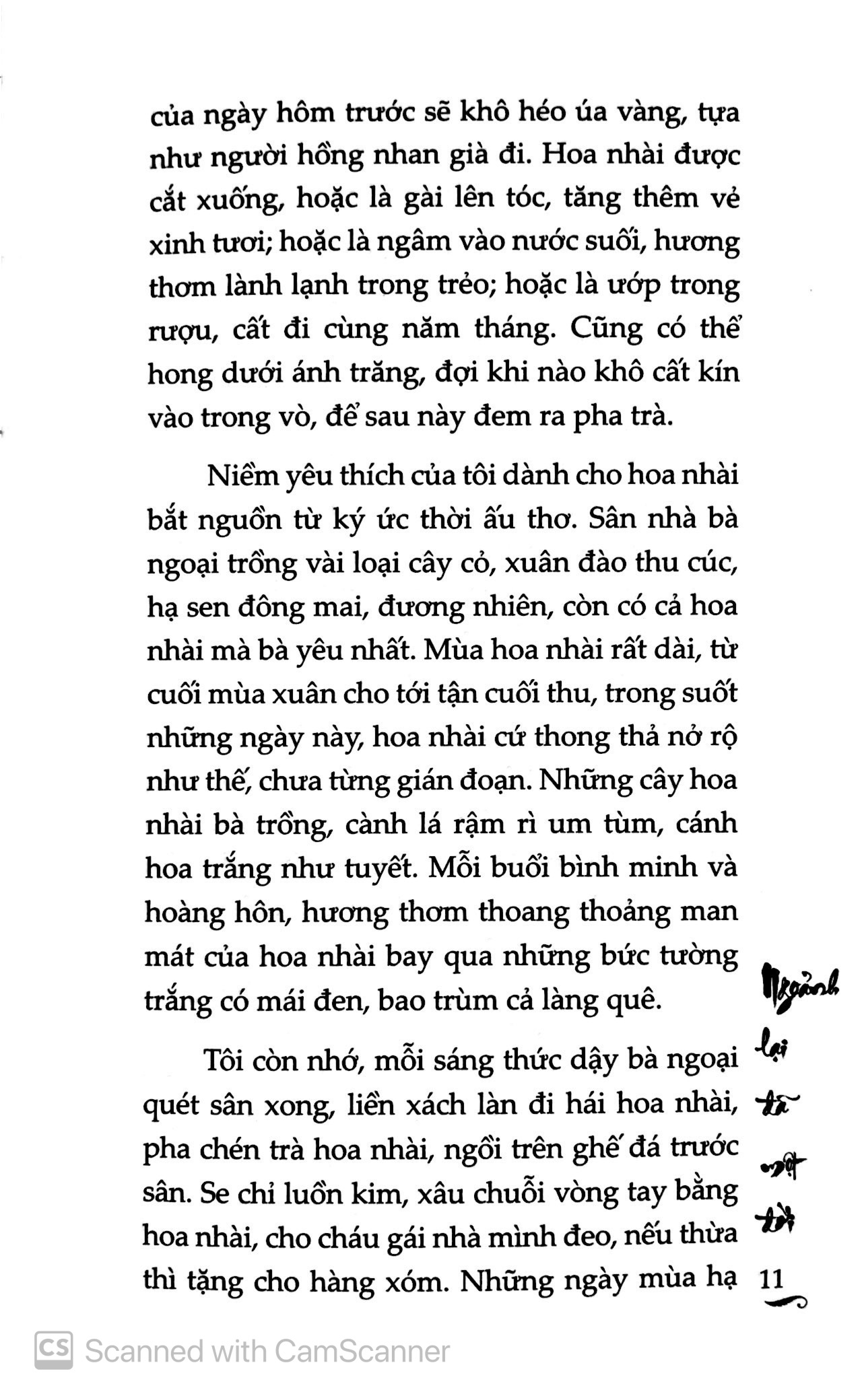 ngoảnh lại đã một đời