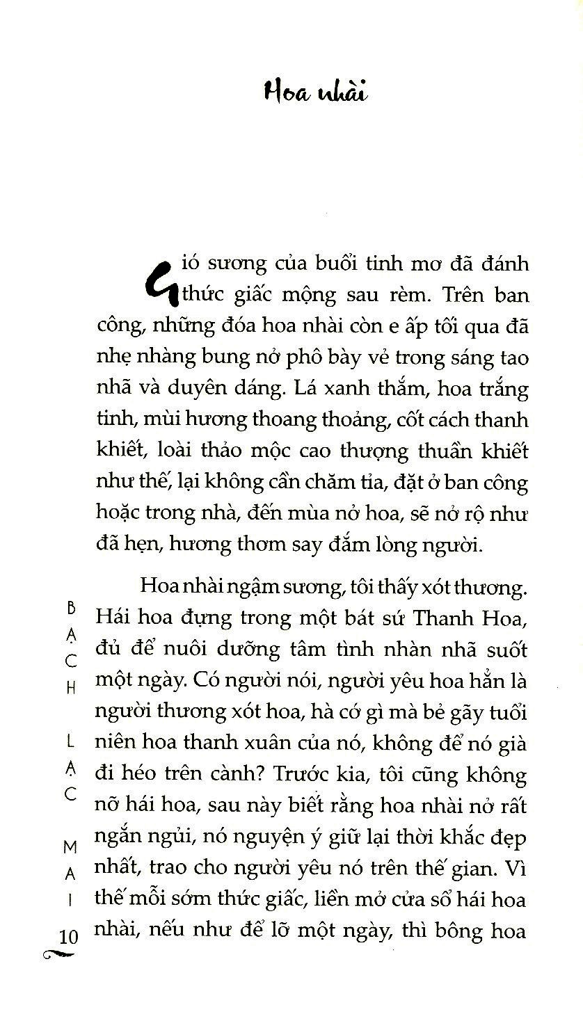 ngoảnh lại đã một đời - bìa cứng