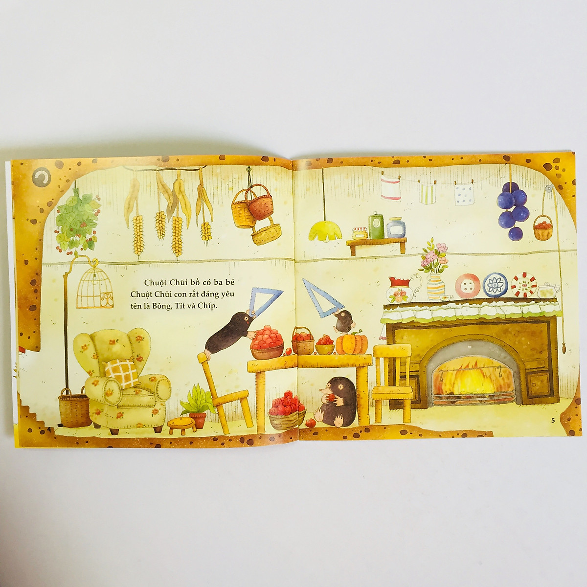 ngôi nhà nhỏ ấm áp (bộ túi 6 cuốn) (tái bản 2018)