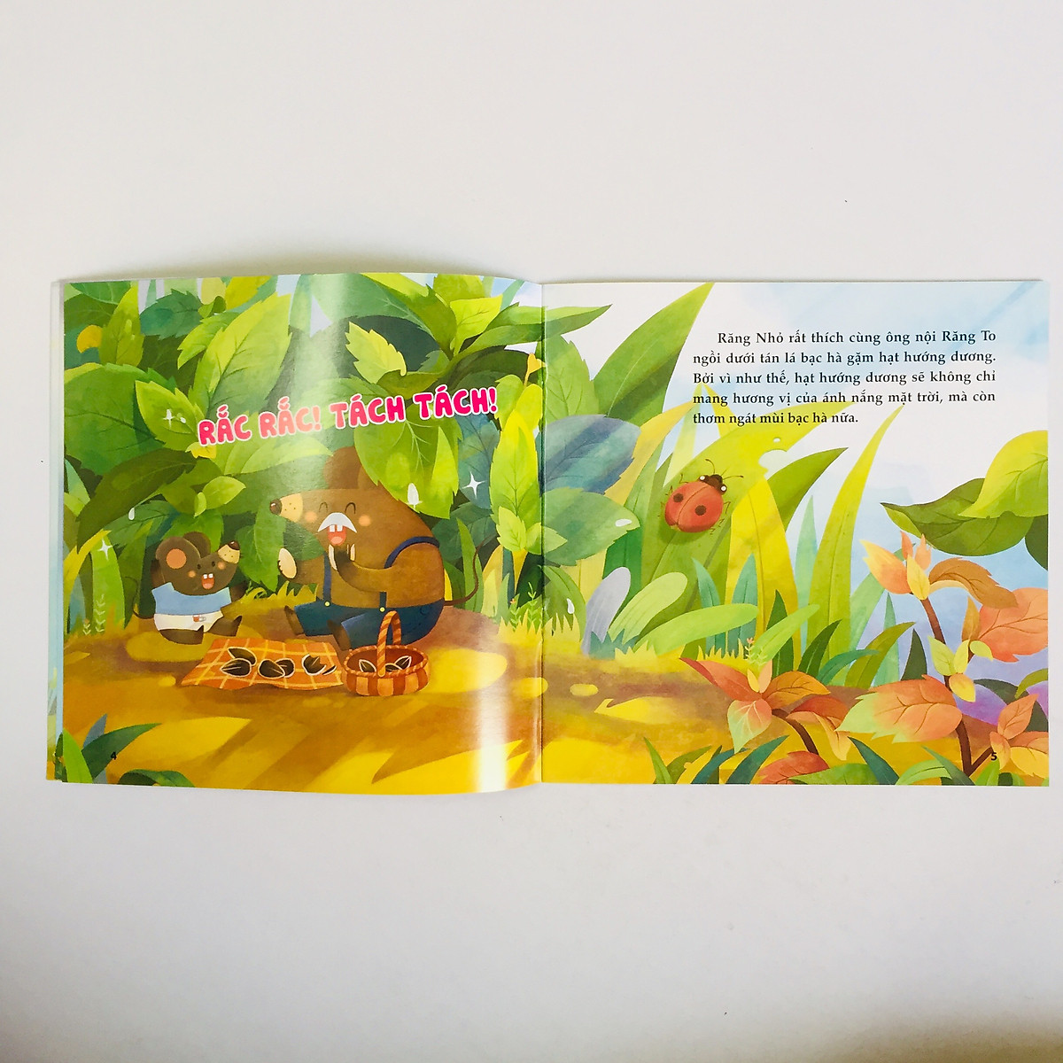 ngôi nhà nhỏ ấm áp (bộ túi 6 cuốn) (tái bản 2018)