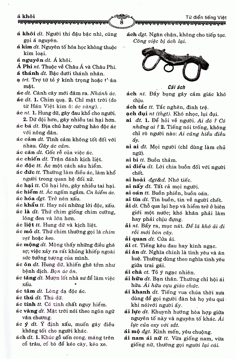 Ngon Ngu Viet Nam - Tu Dien Tieng Viet