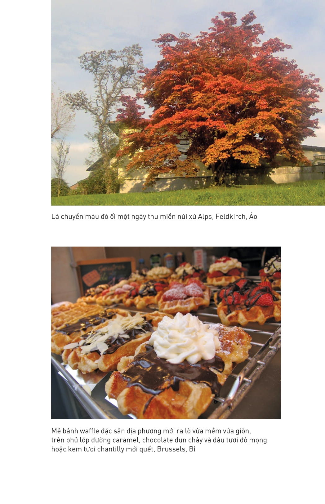 ngón tay mình còn thơm mùi oải hương