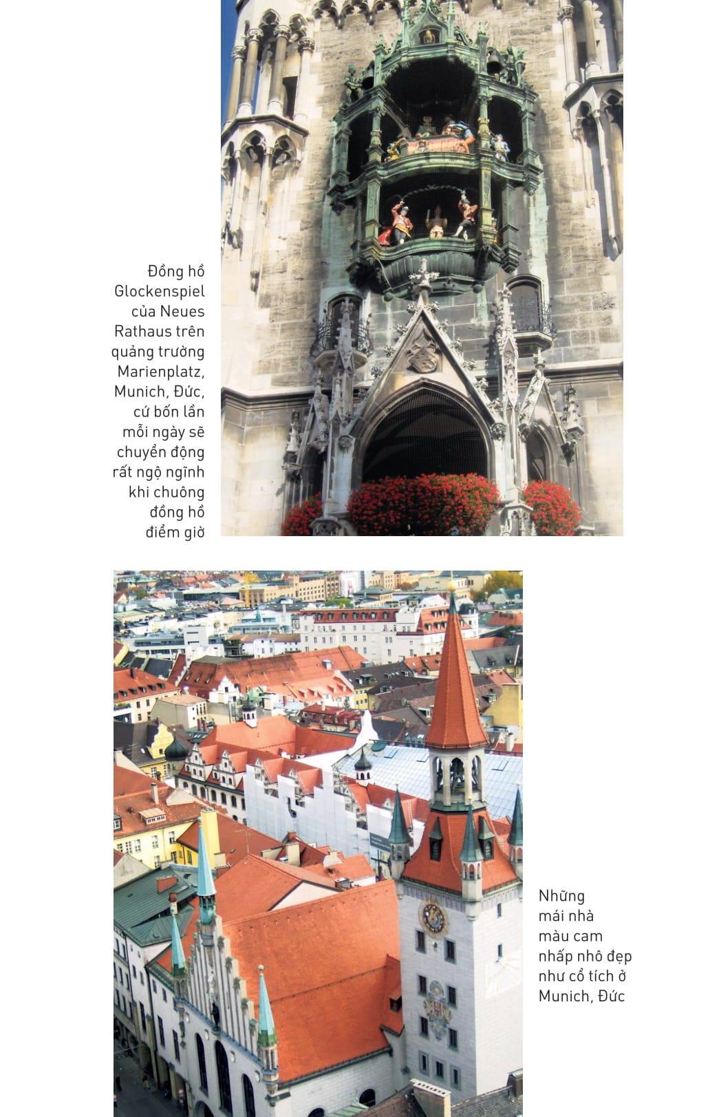 ngón tay mình còn thơm mùi oải hương