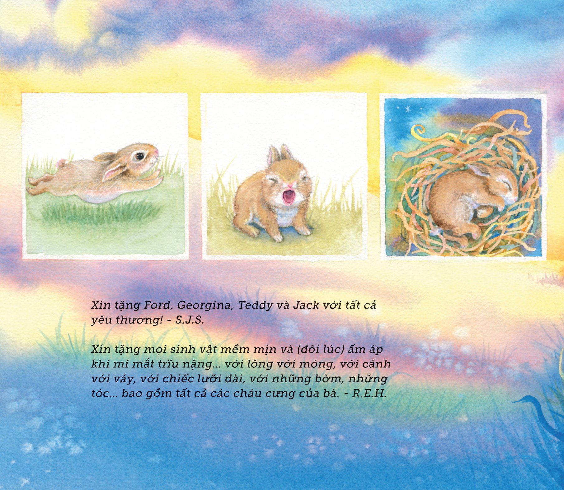 ngủ ấm ngủ êm - đêm nay loài vật ngủ nơi nào?