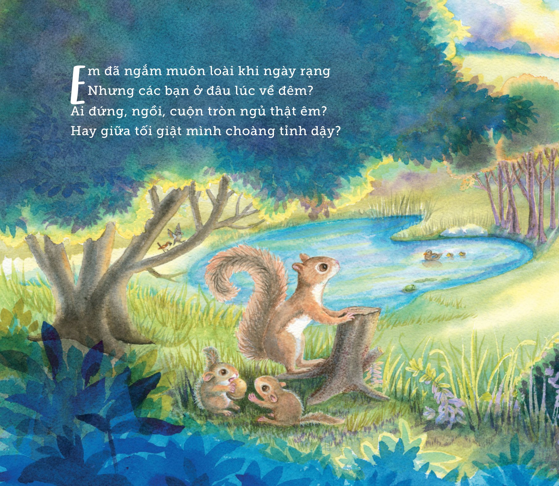 ngủ ấm ngủ êm - đêm nay loài vật ngủ nơi nào?