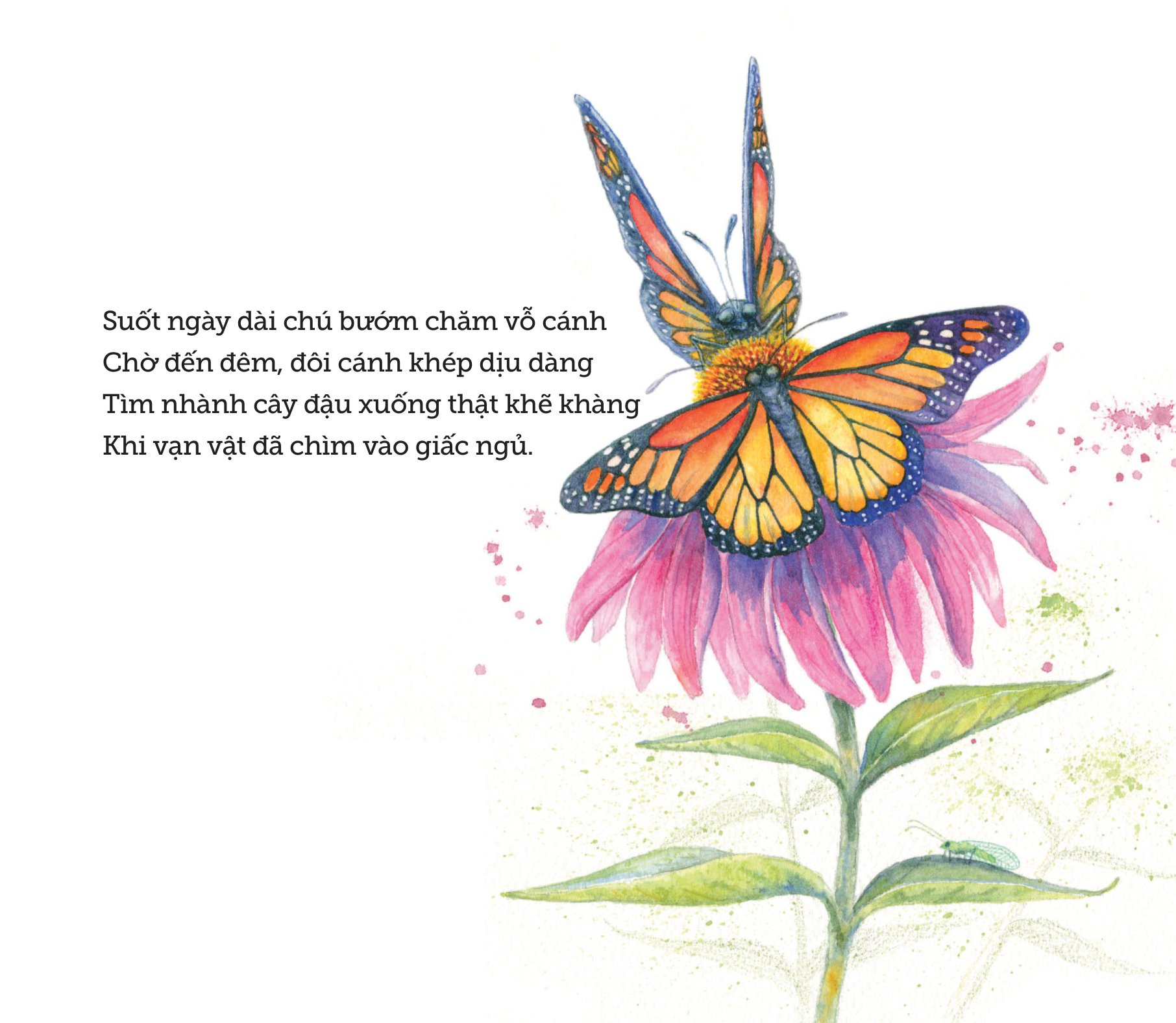 ngủ ấm ngủ êm - đêm nay loài vật ngủ nơi nào?