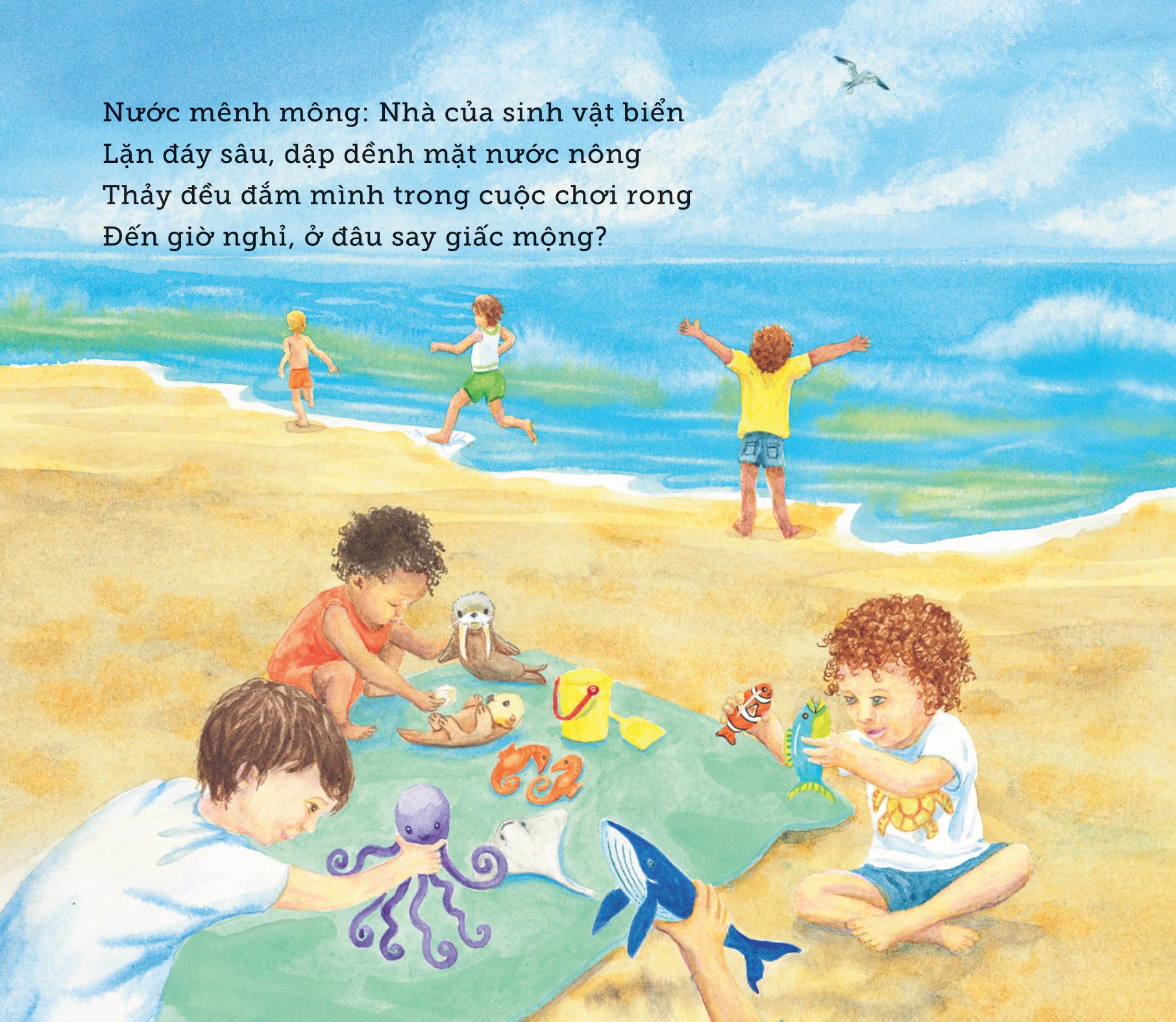 ngủ ấm ngủ êm - đêm nay sinh vật biển ngủ nơi nào?