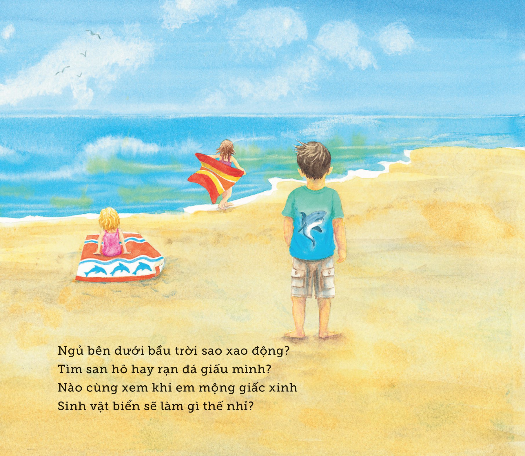 ngủ ấm ngủ êm - đêm nay sinh vật biển ngủ nơi nào?