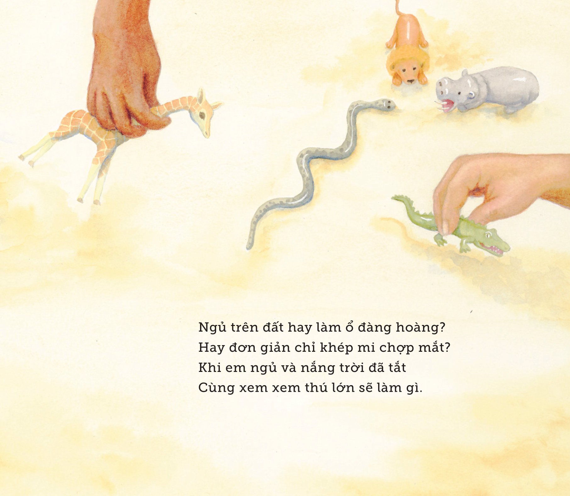 ngủ ấm ngủ êm - đêm nay thú lớn ngủ nơi nào?