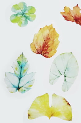 ngủ ngon, hẹn mai nhé