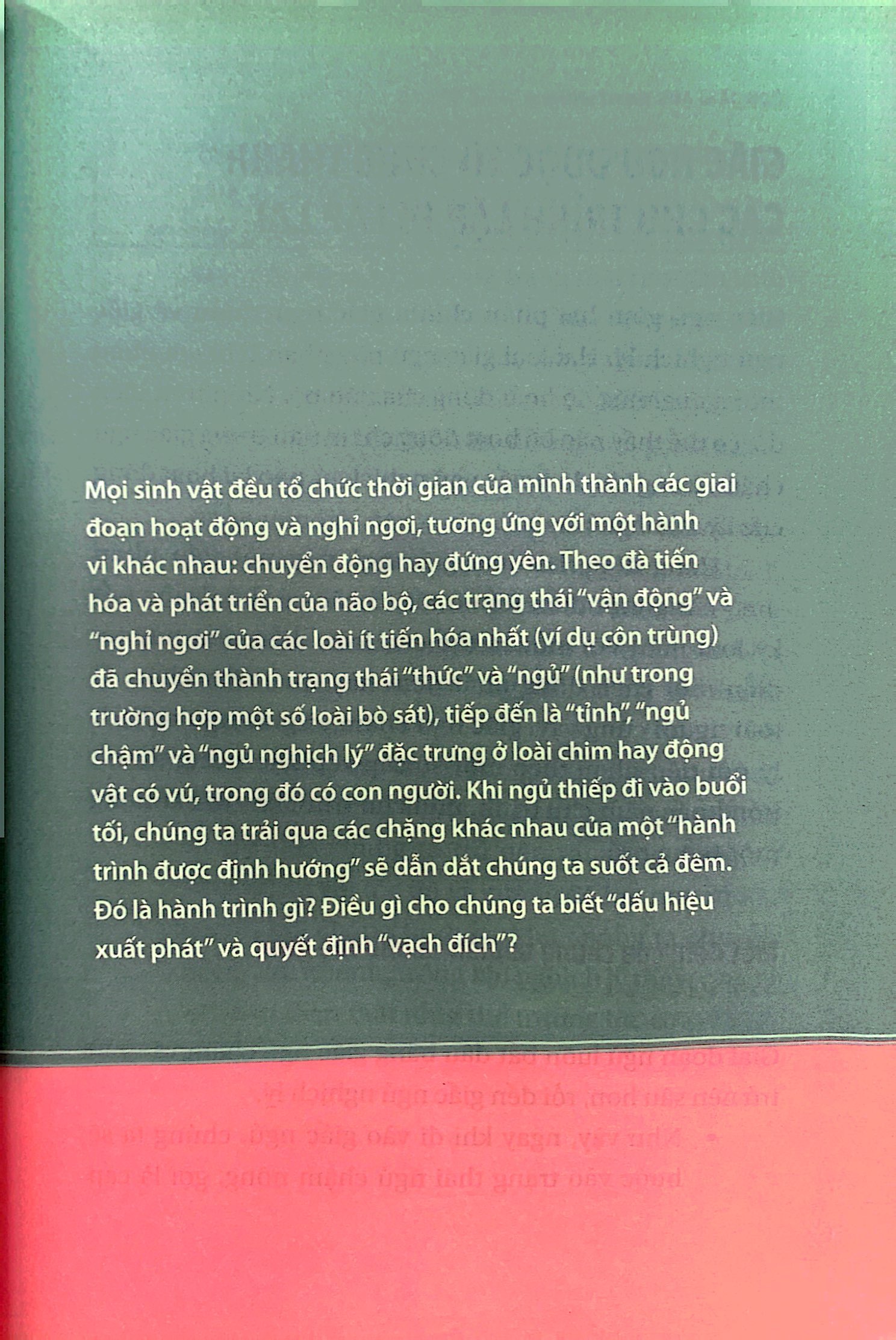 ngủ ngon mỗi đêm, sống khỏe mỗi ngày - bí mật phía sau một giấc ngủ chất lượng
