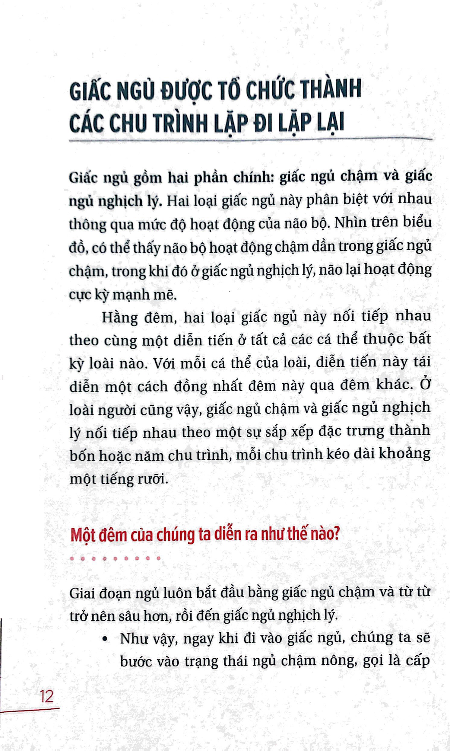ngủ ngon mỗi đêm, sống khỏe mỗi ngày - bí mật phía sau một giấc ngủ chất lượng