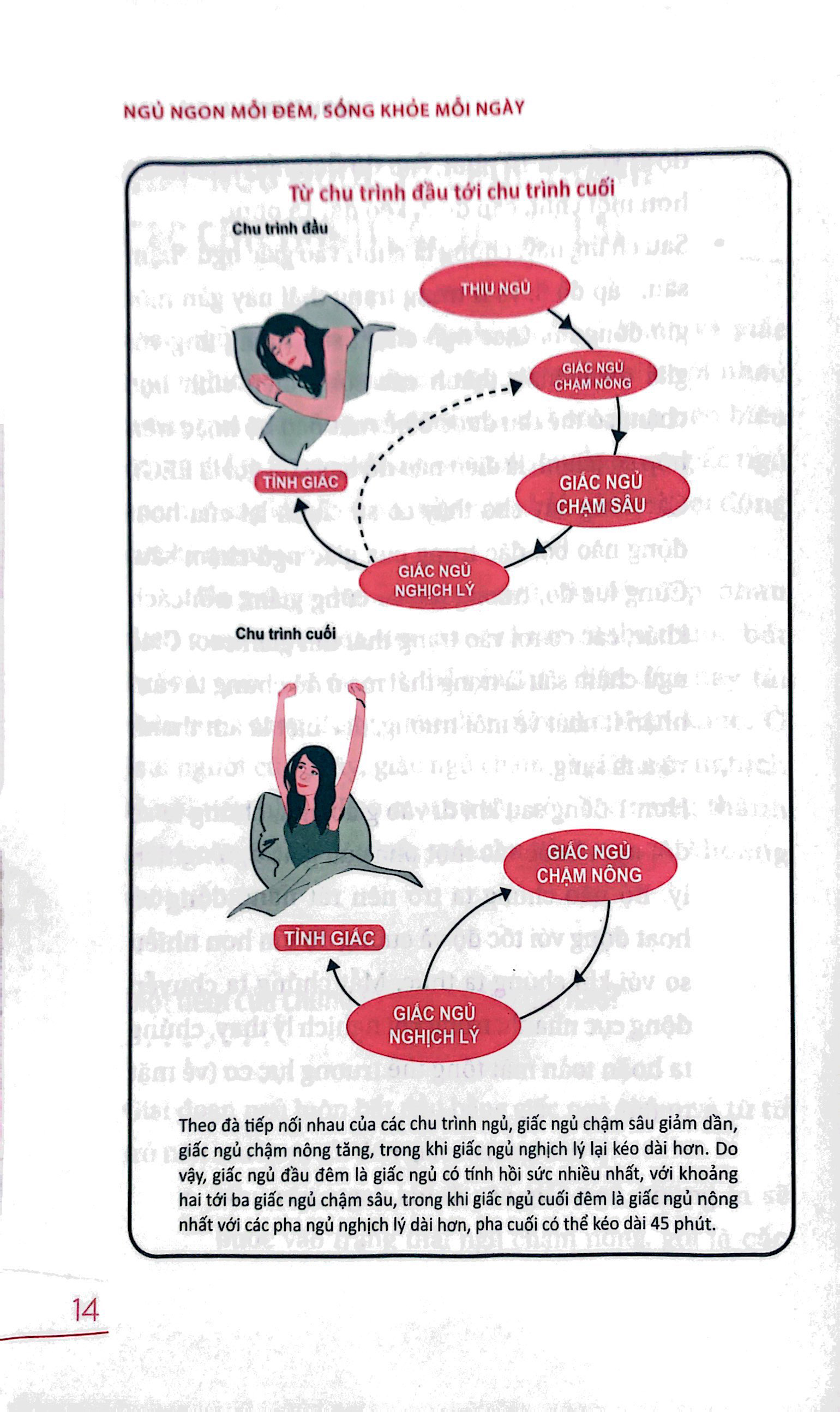 ngủ ngon mỗi đêm, sống khỏe mỗi ngày - bí mật phía sau một giấc ngủ chất lượng