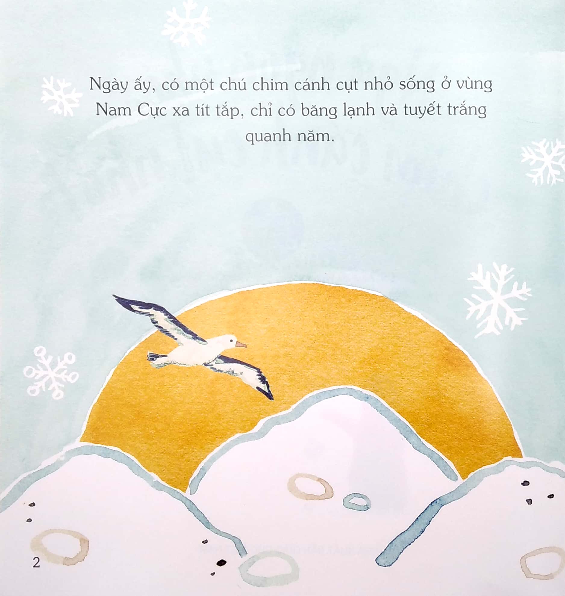 ngủ ngon nhé, chim cánh cụt nhỏ!