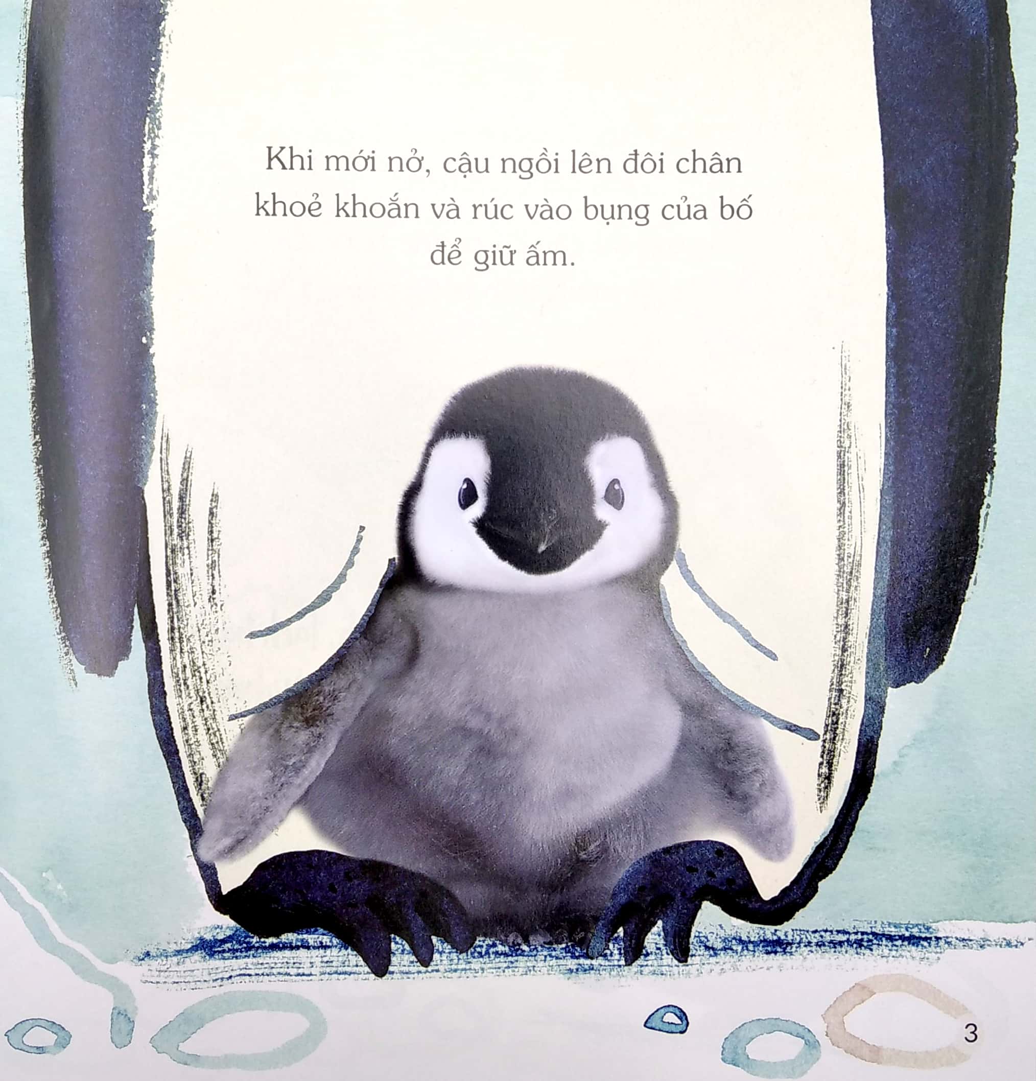 ngủ ngon nhé, chim cánh cụt nhỏ!