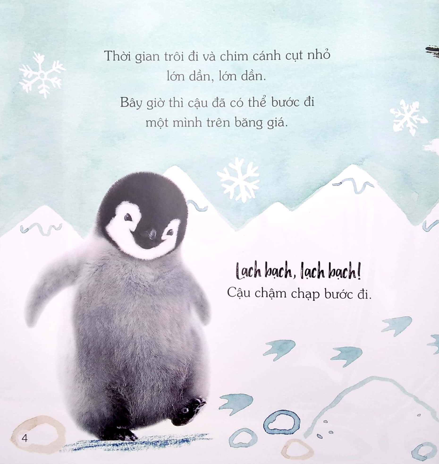 ngủ ngon nhé, chim cánh cụt nhỏ!