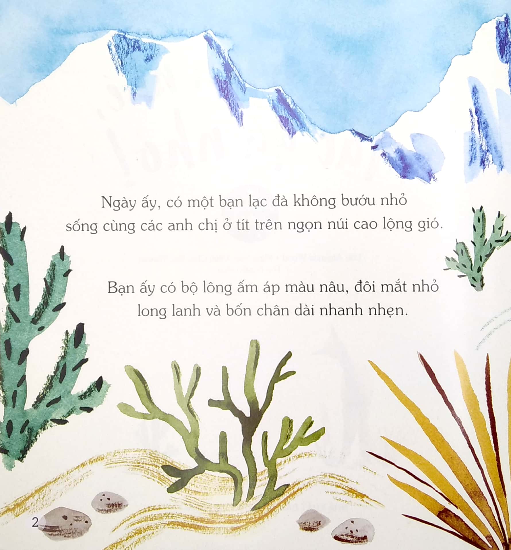 ngủ ngon nhé, lạc đà nhỏ!