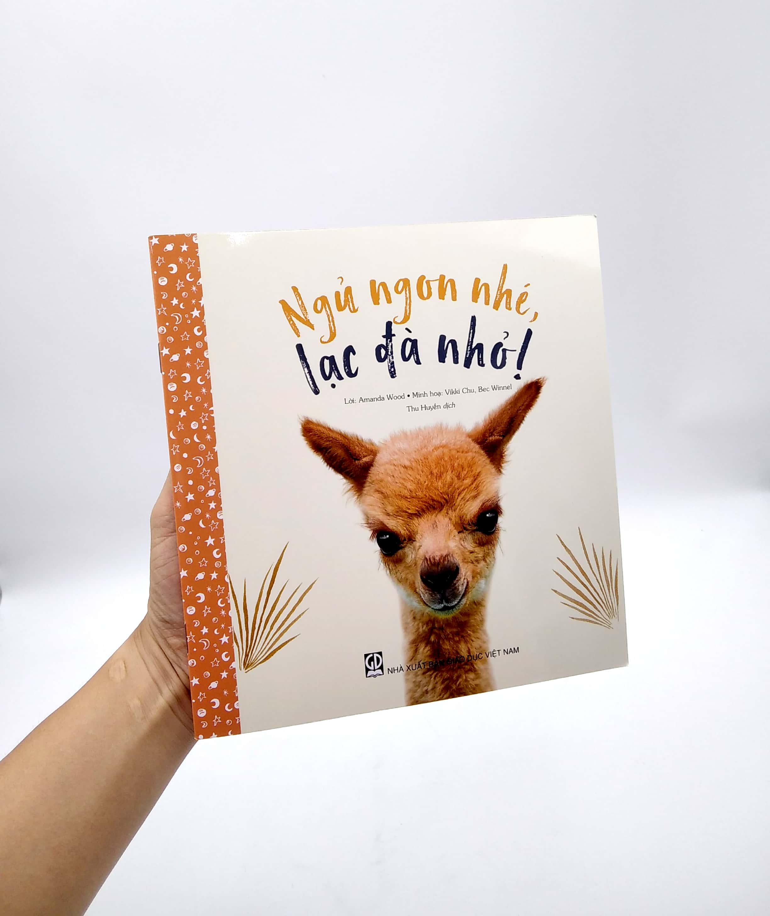 ngủ ngon nhé, lạc đà nhỏ!