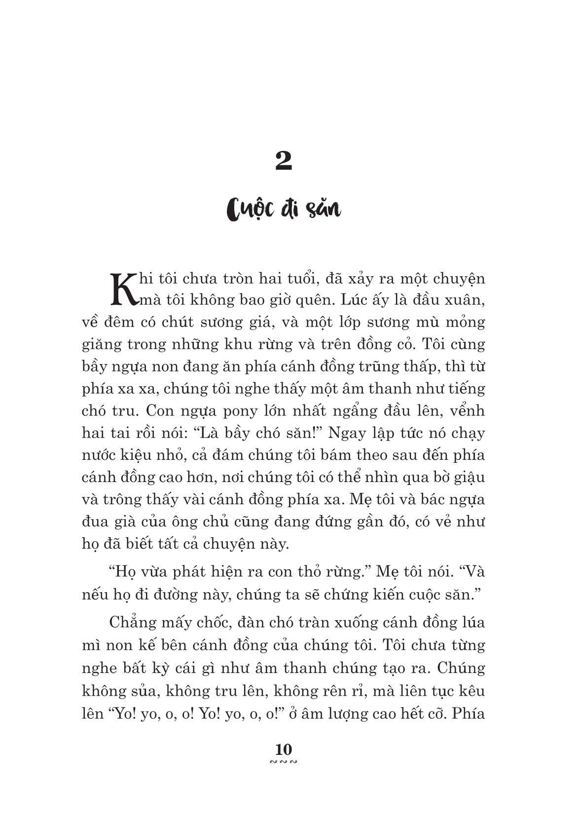 ngựa ô yêu dấu