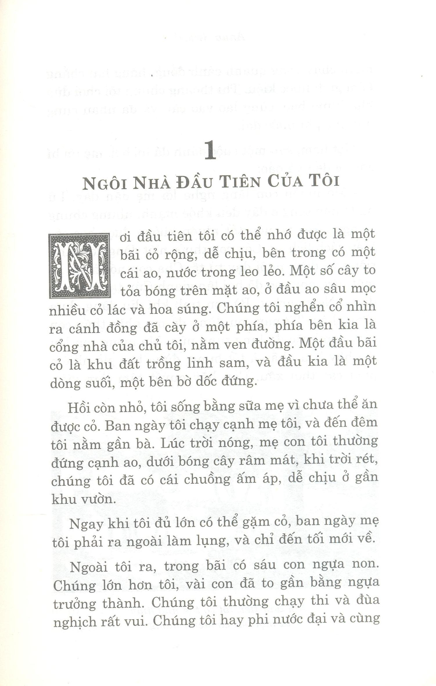 ngựa ô yêu dấu (tái bản 2020)